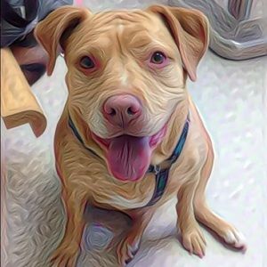 Meet your Posher, Michelle